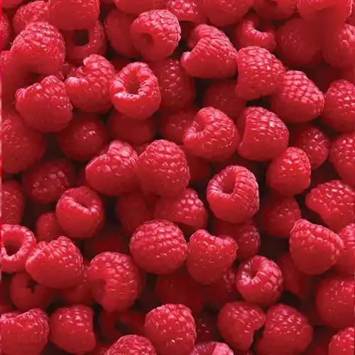 Organic raspberry
