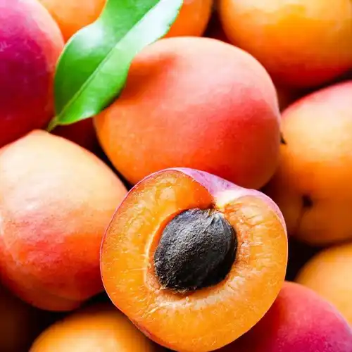 Organic apricot