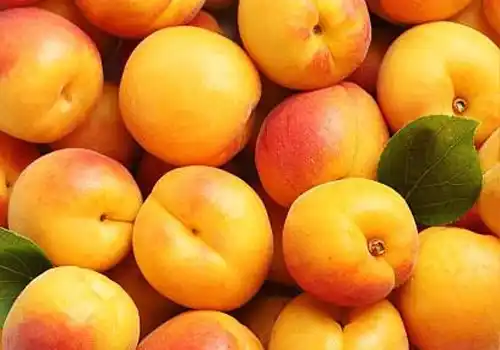 Apricots