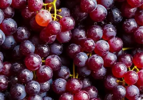 Grapes
