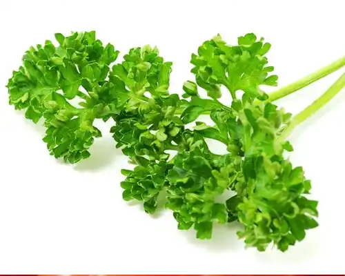 parsley