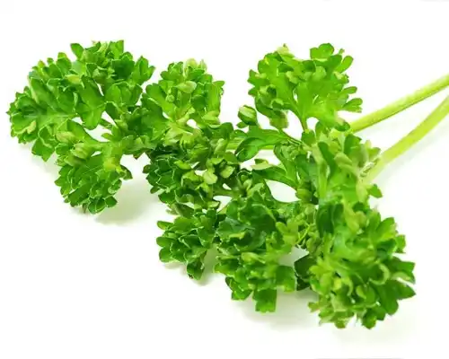 parsley